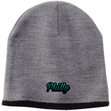 Teal Philly Beanie